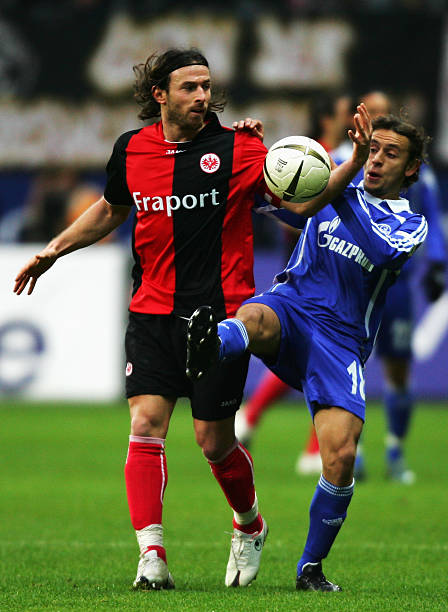 全力以赴 全力以赴